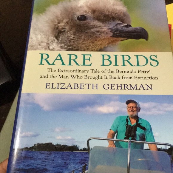 BOOK: Rare Birds:The Extraordinary Tale of the Bermuda Petrel, Elizabeth Gehrman - Picture 2 of 6